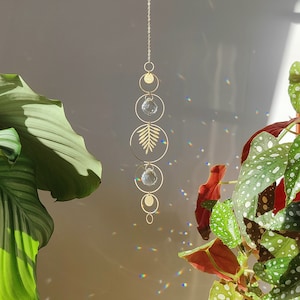 GAIA • Plant Suncatcher | Brass & Crystal Sun Catcher | Home decor | Window Decoration | Rainbow Prism Feng Shui | Nature Inspired Gift
